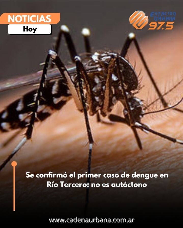 Se confirmó el primer caso de dengue en Río Tercero: no es autóctono