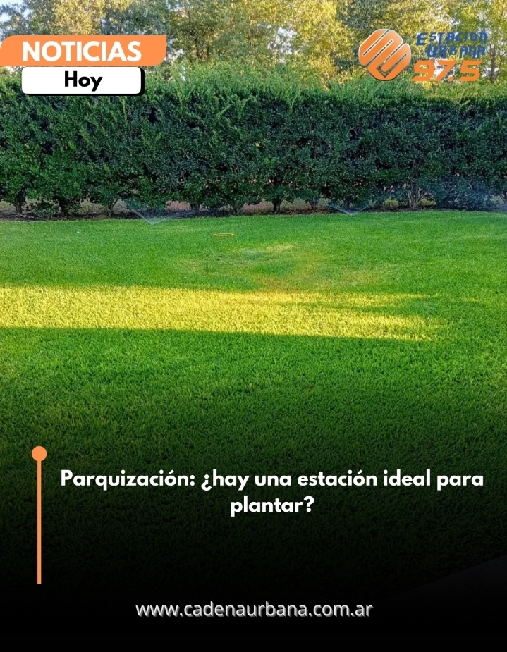 Parquizaci&oacute;n: &iquest;hay una estaci&oacute;n ideal para plantar?