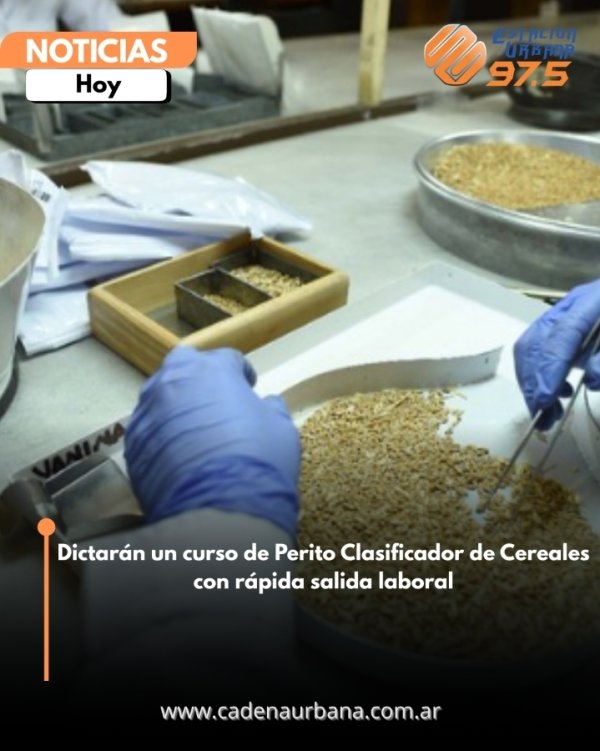 Dictar&aacute;n un curso de Perito Clasificador de Cereales con r&aacute;pida salida laboral