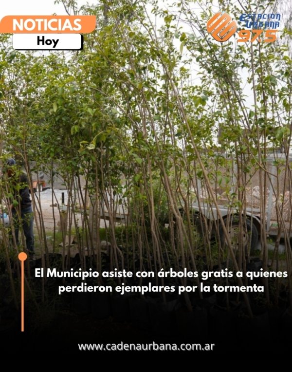 El Municipio asiste con &aacute;rboles gratis a quienes perdieron ejemplares por la tormenta 