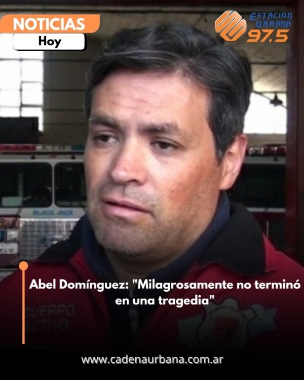 Abel Dom&iacute;nguez: 