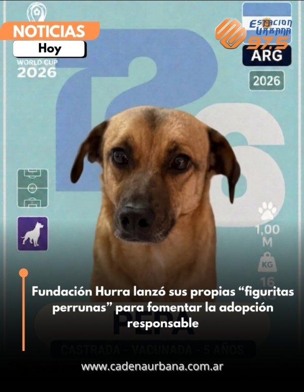 Fundaci&oacute;n Hurra lanz&oacute; sus propias &ldquo;figuritas perrunas&rdquo; para fomentar la adopci&oacute;n responsable