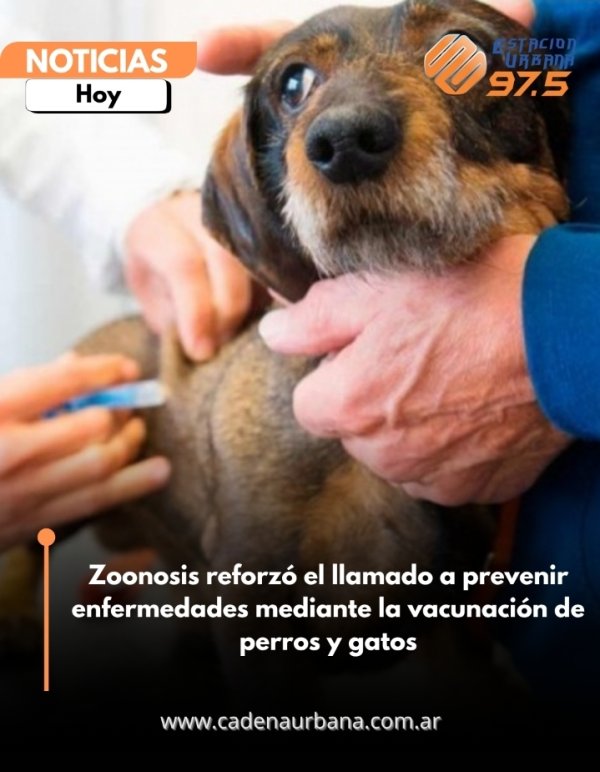Zoonosis reforz&oacute; el llamado a prevenir enfermedades mediante la vacunaci&oacute;n de perros y gatos