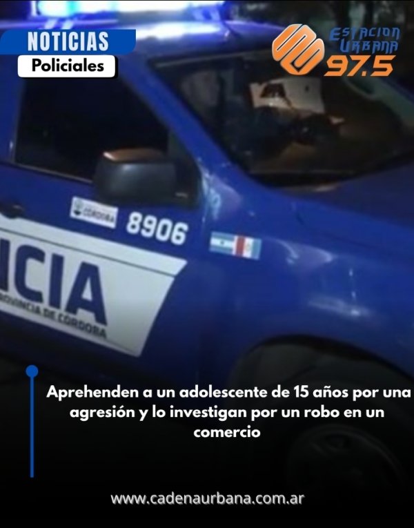  Aprehenden a un adolescente de 15 a&ntilde;os por una agresi&oacute;n y lo investigan por un robo en un comercio