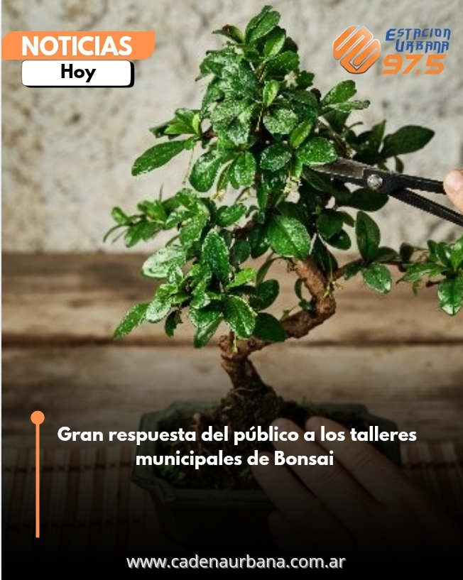 Gran respuesta del público a los talleres municipales de Bonsai 