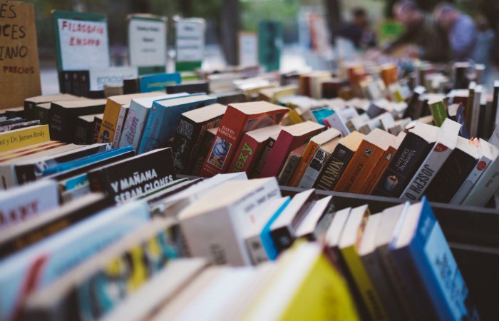 A FINES DE FEBRERO SE REALIZAR&Aacute; EN NUESTRA CIUDAD LA FERIA DEL LIBRO