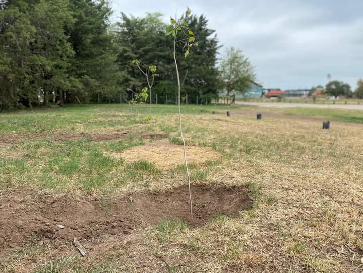 JOS&Eacute; SCOTTO: QUEREMOS HACER DE CORRALITO UN GRAN PULM&Oacute;N VERDE