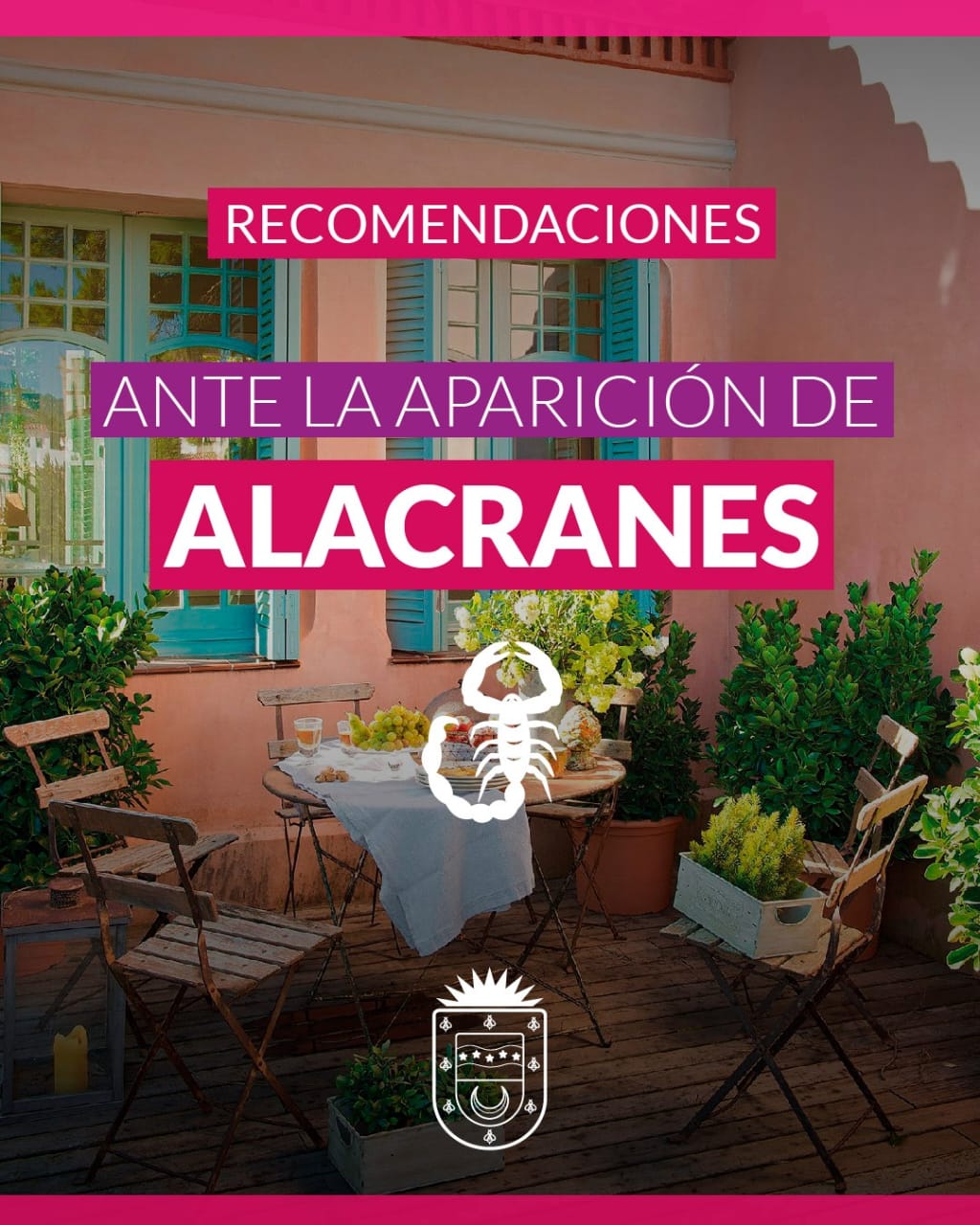 CONOC&Eacute; LAS RECOMENDACIONES ANTE LA APARICI&Oacute;N DE ALACRANES