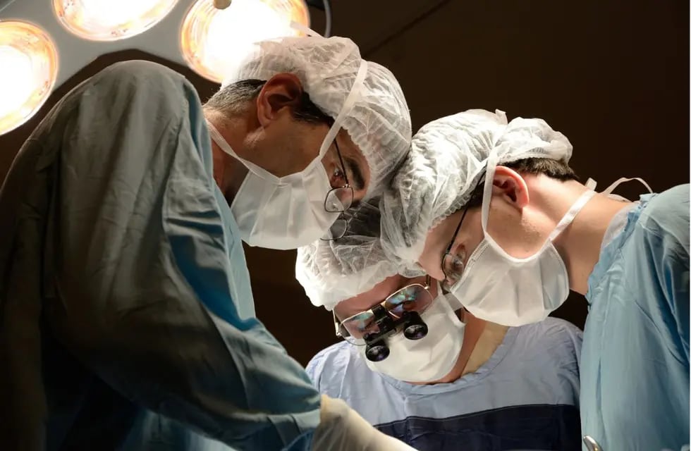 DONACI&Oacute;N DE &Oacute;RGANOS: EN 2023, C&Oacute;RDOBA HIZO POSIBLES M&Aacute;S DE 400 TRANSPLANTES EN EL PA&Iacute;S 