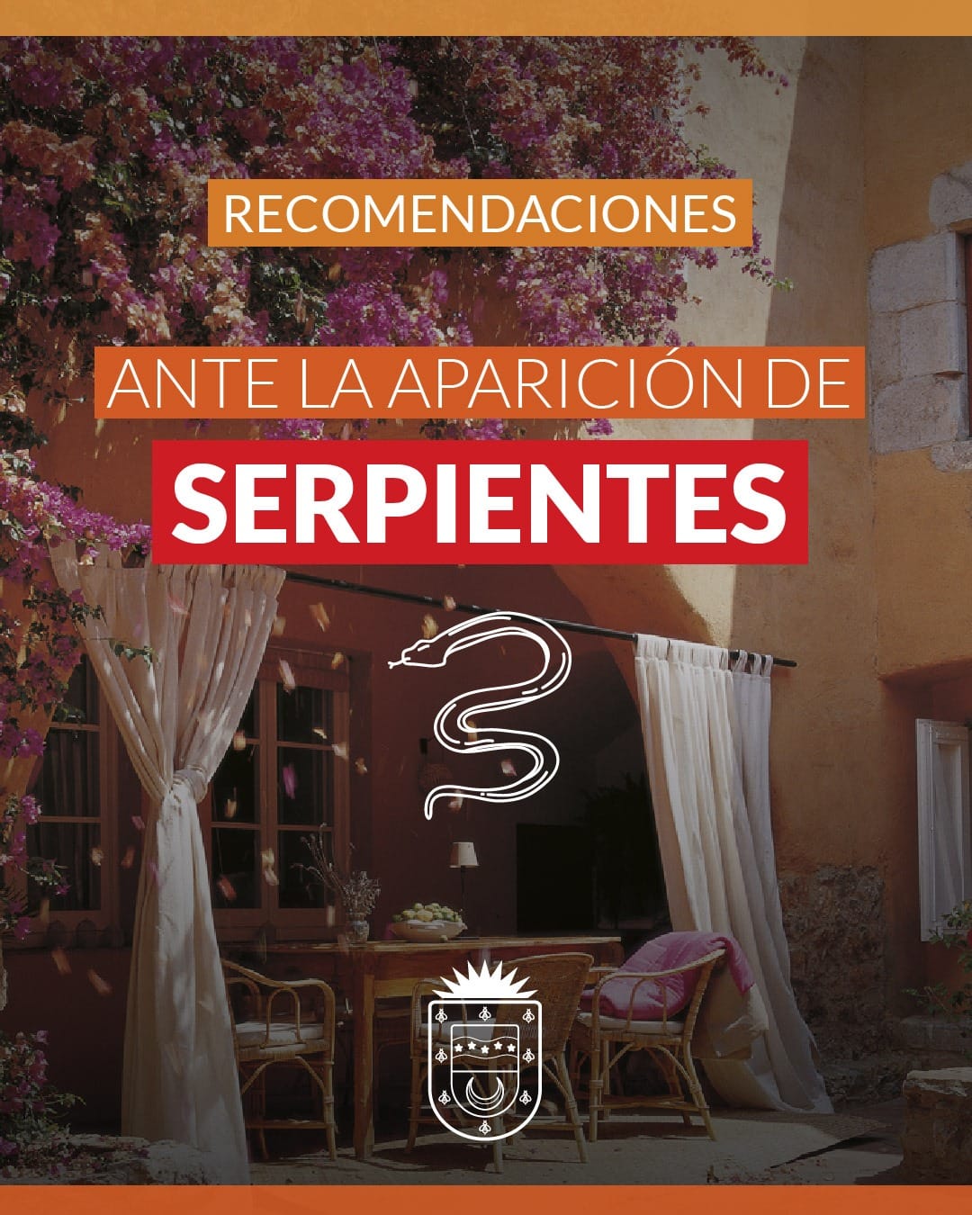CONOC&Eacute; LAS RECOMENDACIONES ANTE LA APARICI&Oacute;N DE SERPIENTES