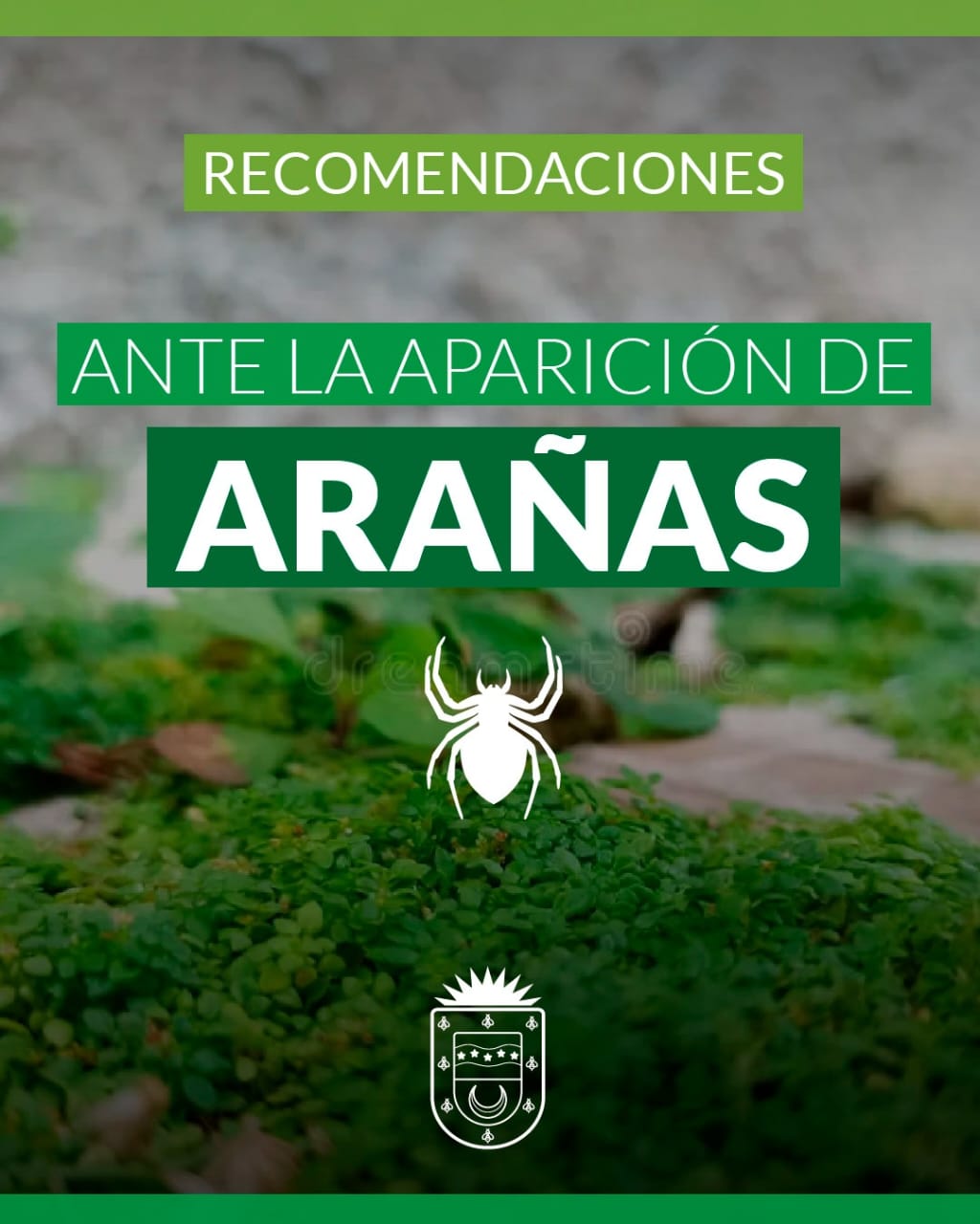 CONOC&Eacute; LAS RECOMENDACIONES ANTE LA APARICI&Oacute;N DE ARA&Ntilde;AS