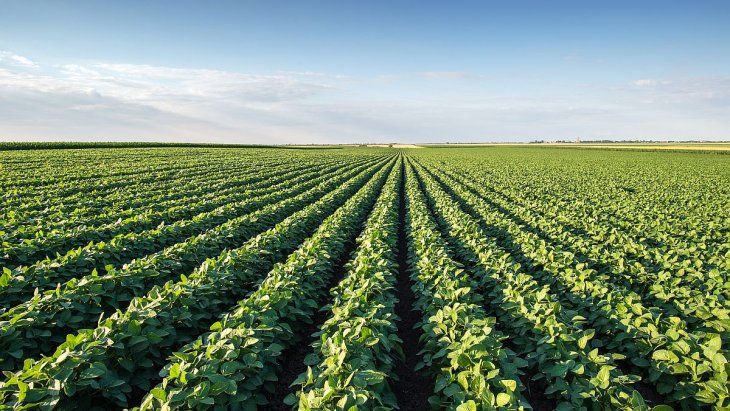  Matías Pistelli: Esperamos que las medidas traigan estabilidad al sector