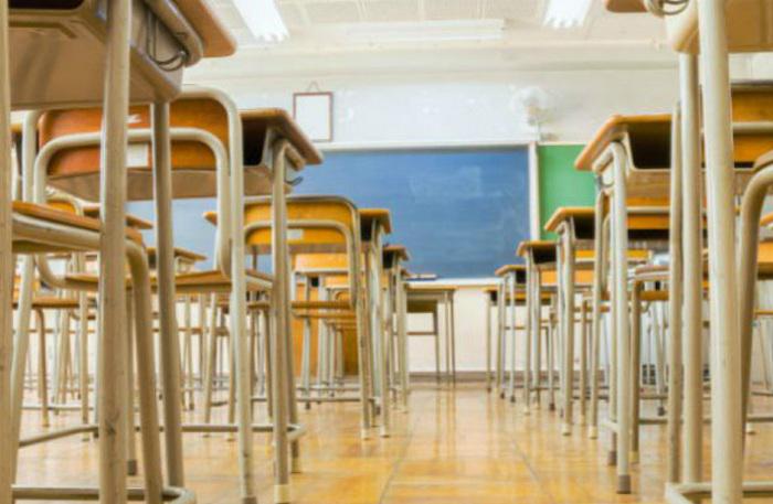 Carolina Go&ntilde;i (Secretar&iacute;a de Educaci&oacute;n):"Estamos trabajando en armar un cronograma para que el 1&deg; de Marzo est&eacute;n en condiciones todas las escuelas"