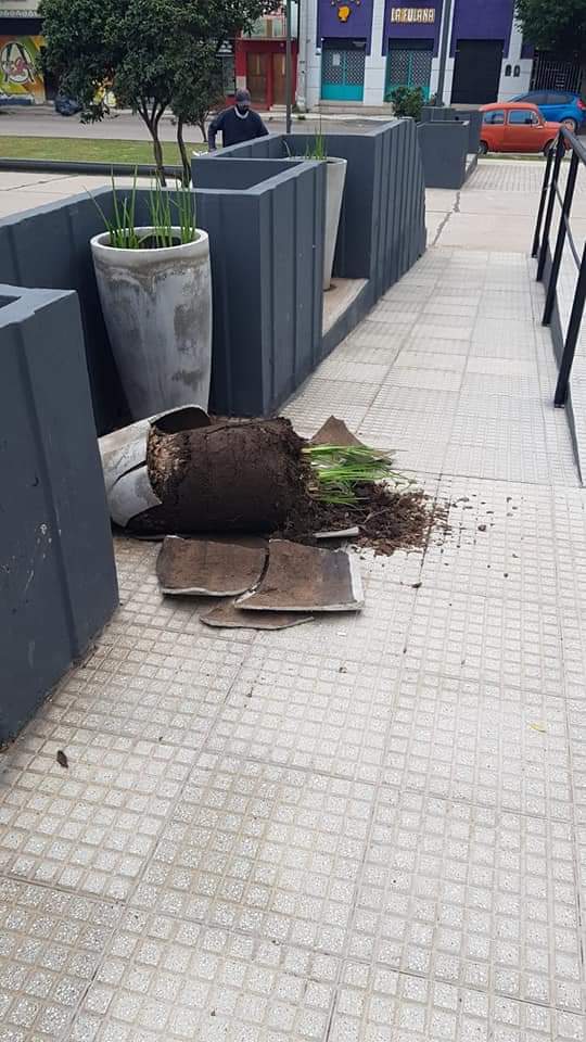 Vandalismo en el Museo Enrique Gandolfo