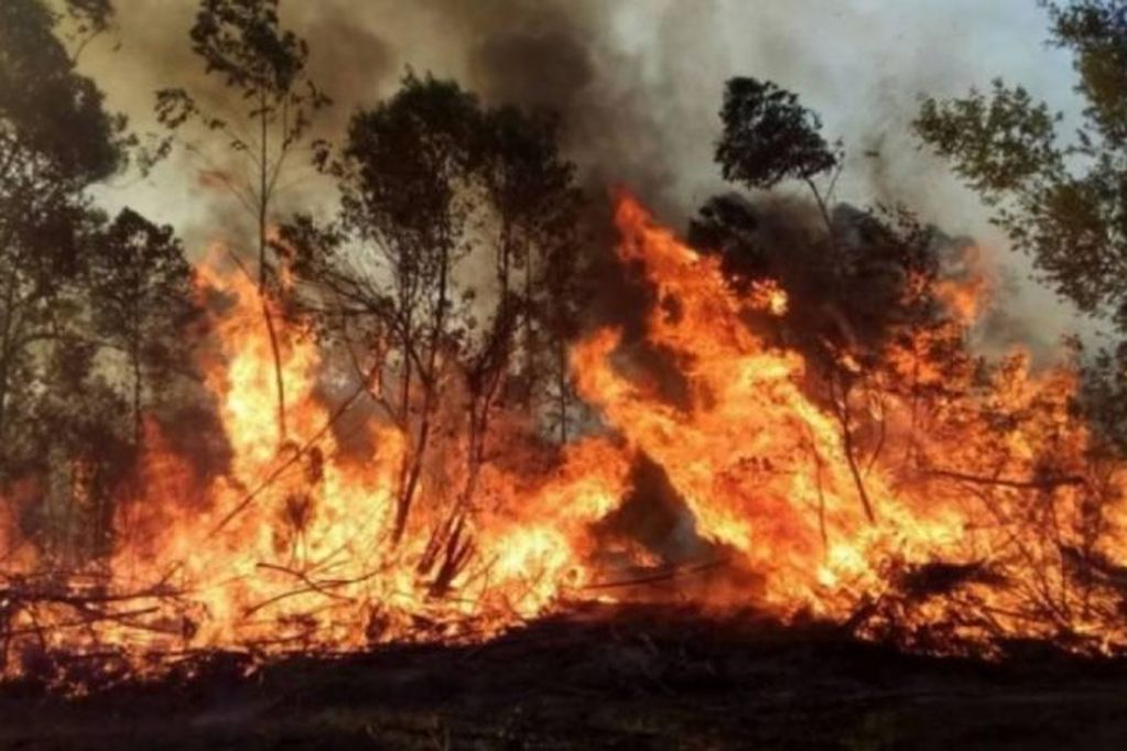 BOMBEROS DE R&Iacute;O TERCERO VIAJAN A CORRIENTES A COLABORAR EN LOS INCENDIOS FORESTALES