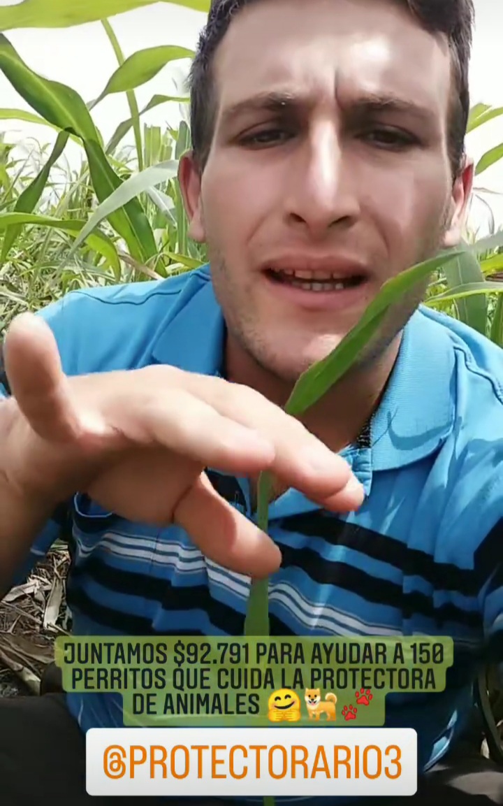 POR SU CUMPLEA&Ntilde;OS HIZO UNA COLECTA EN INSTAGRAM PARA AYUDAR A LA PROTECTORA