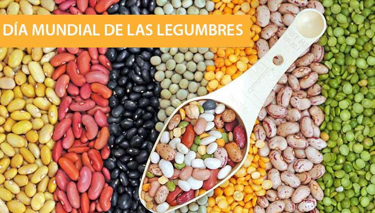 D&Iacute;A MUNDIAL DE LAS LEGUMBRES: UN SUPER ALIMENTO AL ALCANCE DE TODOS
