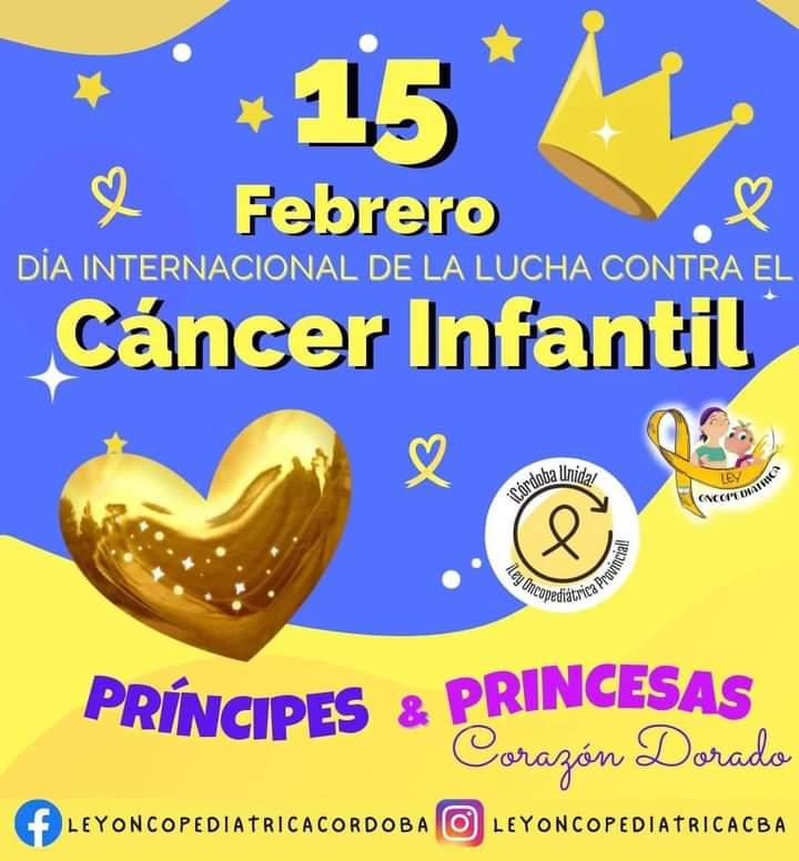 NOE ZEBALLE: EL C&Aacute;NCER ENFERMA EL CUERPO DEL NI&Ntilde;O Y EL CORAZ&Oacute;N DE LA FAMILIA