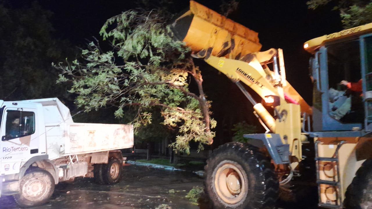 EL MUNICIPIO INFORM&Oacute; SOBRE LOS &Aacute;RBOLES Y POSTES CA&Iacute;DOS POR LA TORMENTA