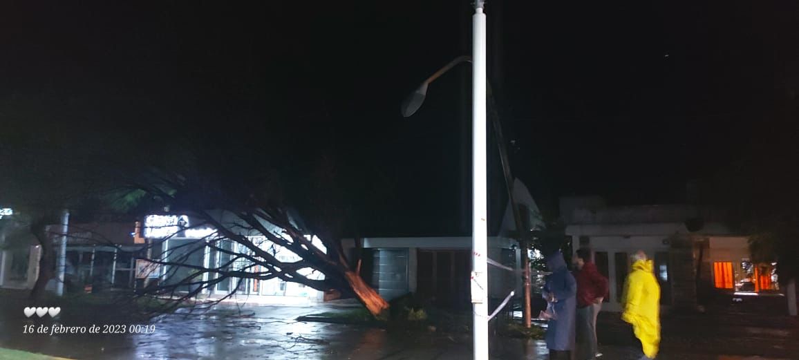 ALICIARDI: LA COOPERATIVA TIENE PERSONAL Y MATERIALES PARA ACTUAR ANTE UNA CRISIS