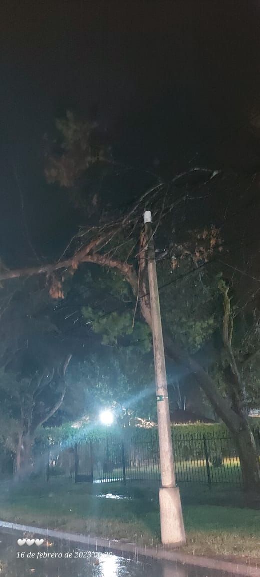 BOMBEROS TRABAJ&Oacute; CON DOS DOTACIONES COLABORANDO PARA SOLUCIONAR PROBLEMAS EN LA CIUDAD