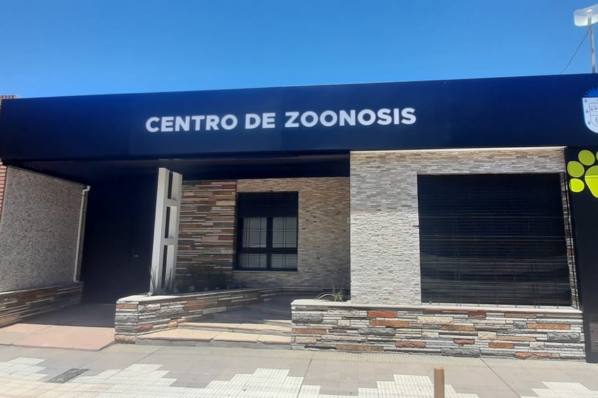 HERMES MARI: SE EST&Aacute; CASTRANDO UN  PROMEDIO DE 200 ANIMALES POR MES