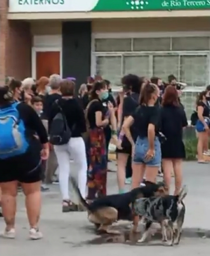 JOVEN FUE ATACADA POR PERROS EN EL CENTRO