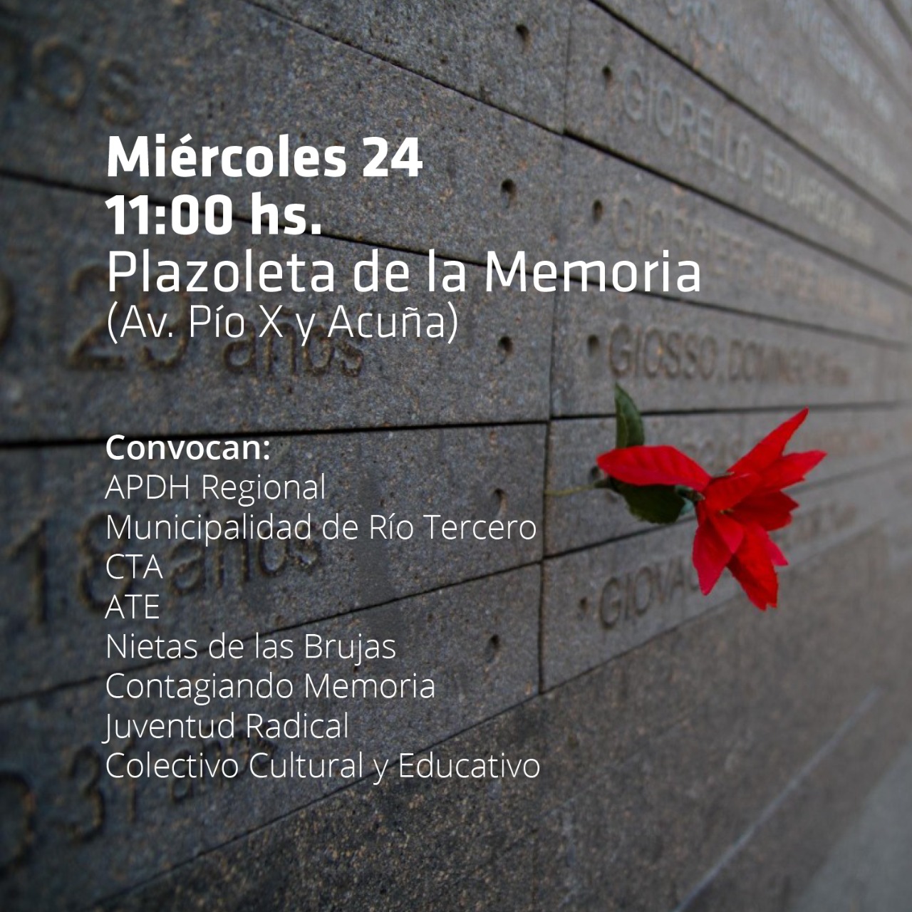 "Plantamos memoria, cosechamos derechos" : DIFERENTES ACTIVIDADES POR EL D&Iacute;A DE LA MEMORIA