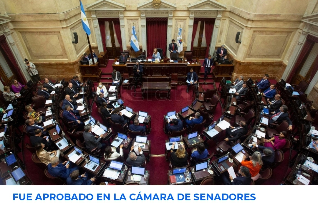 El Acuerdo con el FMI es ley