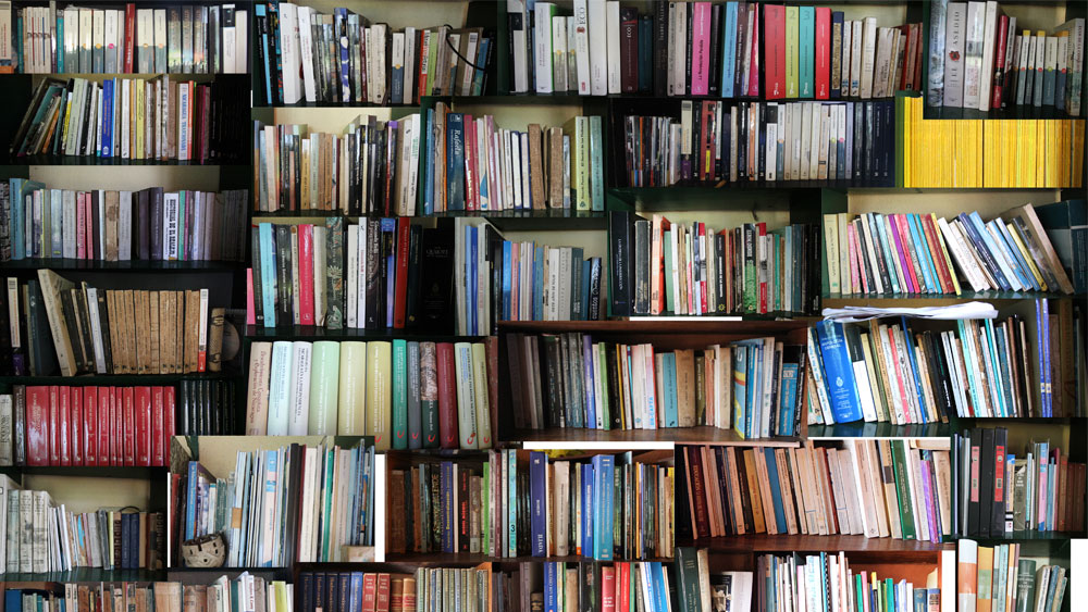 VIVIANA RAED HABL&Oacute; DE LA IMPORTANCIA DE LAS BIBLIOTECAS A M&Aacute;S DE 200 A&Ntilde;OS DE LA INAUGURACI&Oacute;N DE LA BIBLIOTECA NACIONAL