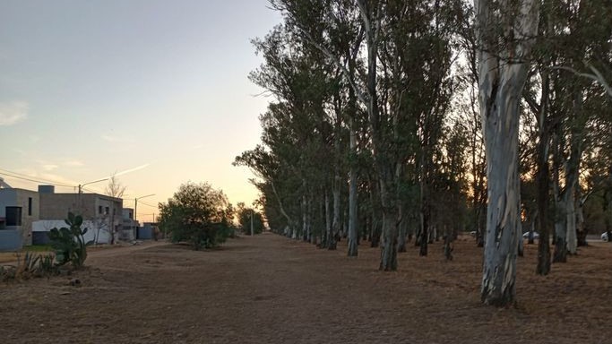 BARRIO MAR&Iacute;N MAROTO CELEBRA EL INICIO DE OBRAS PARA SU ESPACIO VERDE