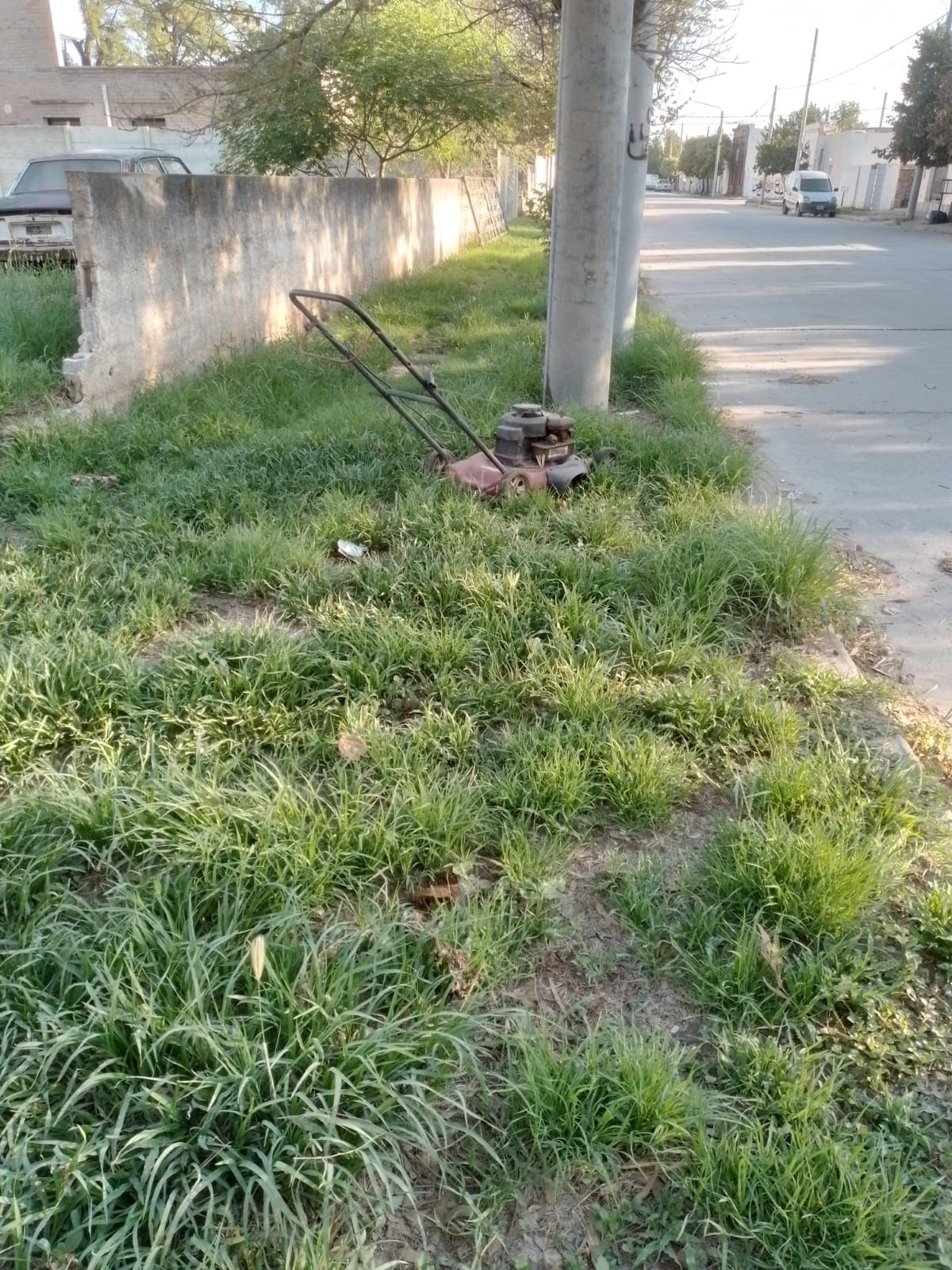 PARTE POLICIAL: HURTO Y APREHENSION DE MENOR DE EDAD EN ALMAFUERTE 