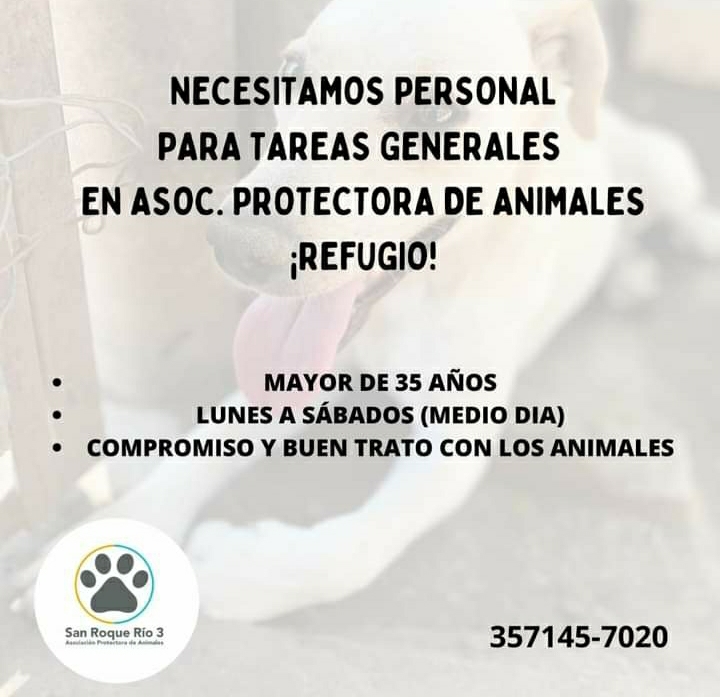 LA ASOCIACI&Oacute;N PROTECTORA *SAN ROQUE* NECESITA LA COLABORACI&Oacute;N DE TODOS