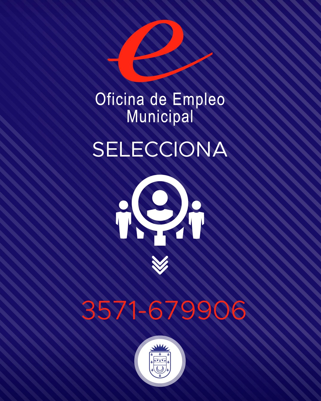 La oficina de empleo selecciona personal para depósito y logística