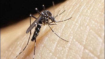 Se confirmo caso positivo de dengue en un joven de 20 años de barrio Cerino