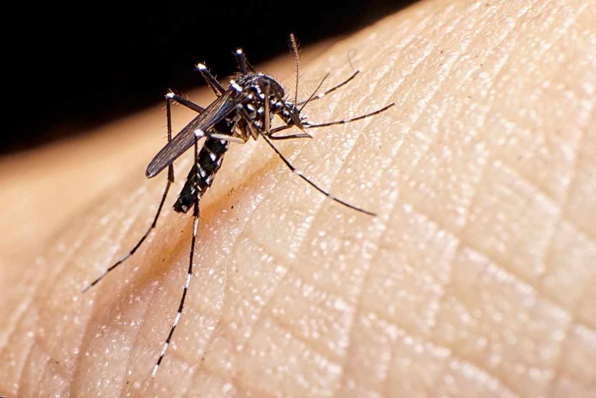 Se confirmó el primer caso de dengue en Barrio Cerino 