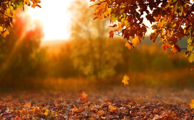 Descenso de temperatura y cambios en el clima para los próximos días