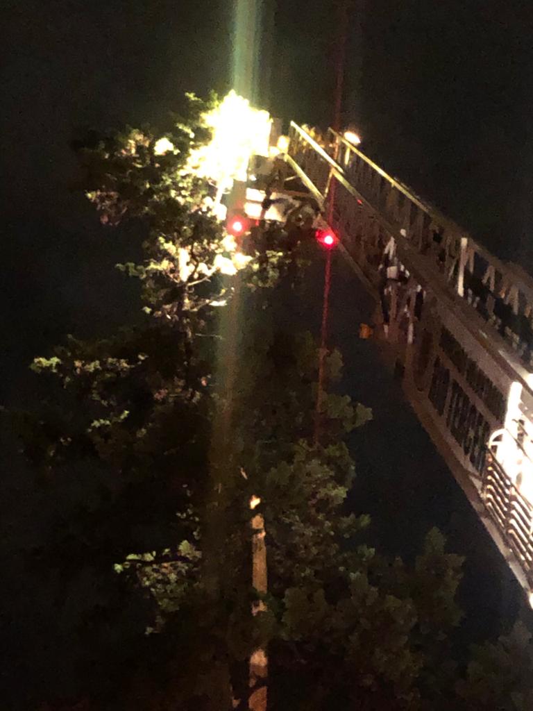 PRINCIPIO DE INCENDIO EN UN PINO POR CA&Iacute;DA DE UN RAYO