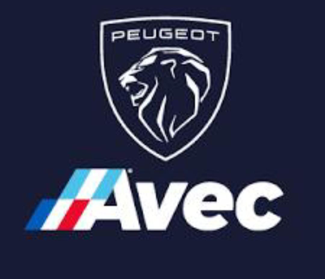 AVEC PEUGEOT OFRECE PARTNER Y PEUGEOT 208 CON EXCELENTES CONDICIONES