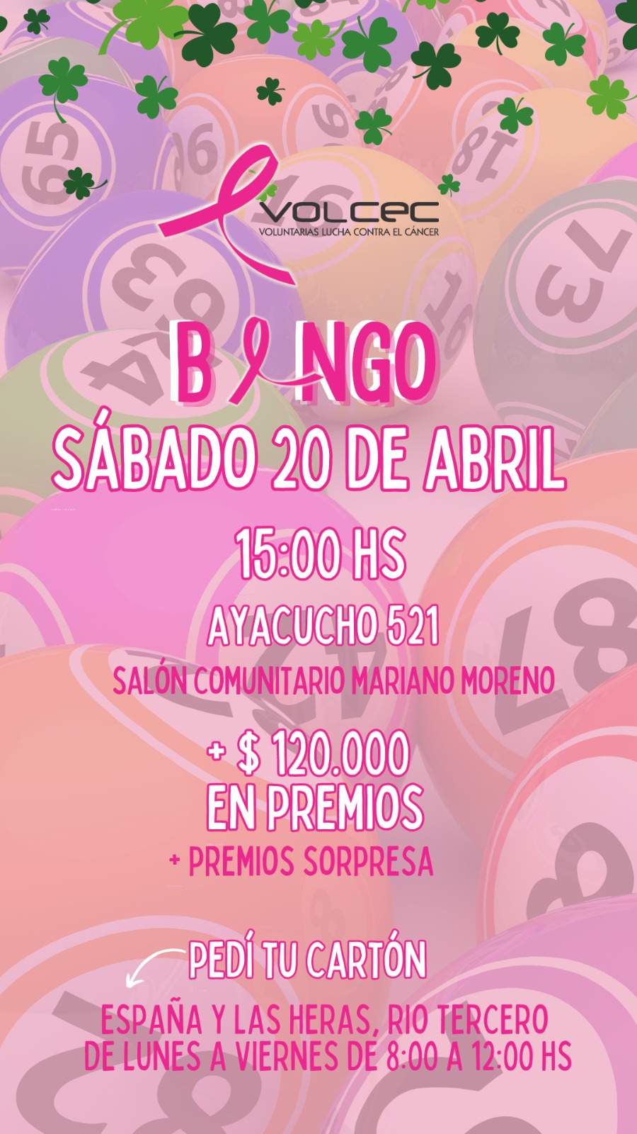 Alicia Demarchi: la gente estaba esperando nuestro bingo