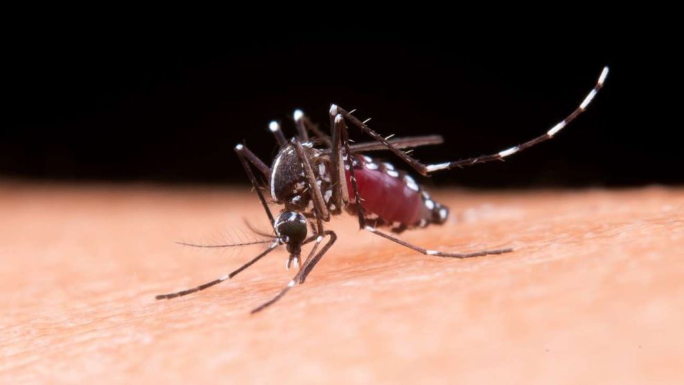 Falleció una mujer de nuestra ciudad que tenía dengue