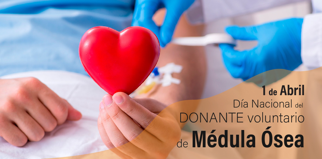 La importancia de donar médula ósea: un acto de amor y esperanza