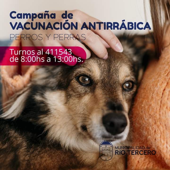 DESDE EL LUNES 10 COMIENZA LA CAMPA&Ntilde;A VACUNACI&Oacute;N ANTIRR&Aacute;BICA?