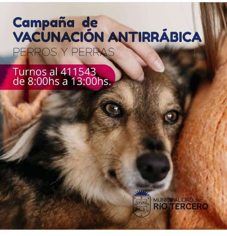 CONTIN&Uacute;A HOY LA CAMPA&Ntilde;A DE VACUNACI&Oacute;N ANTIRR&Aacute;BICA