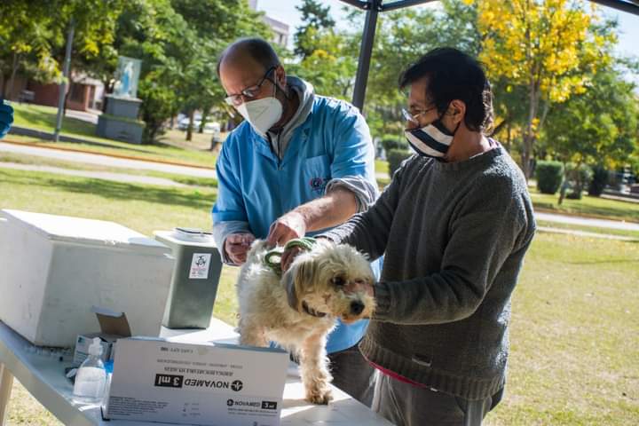 EL MUNICIPIO CONTIN&Uacute;A CON LA  CAMPA&Ntilde;A VACUNACI&Oacute;N ANTIRR&Aacute;BICA LA PR&Oacute;XIMA SEMANA  