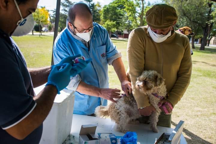 La vacunaci&oacute;n antirr&aacute;bica programada para barrio Montegrande cambio de lugar