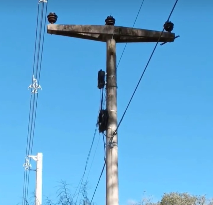 LA COOPERATIVA LOCAL HIZO EL REEMPLAZO DE UN SECTOR DE LA RED DE ALTA TENSI&Oacute;N CON CABLES PROTEGIDOS.