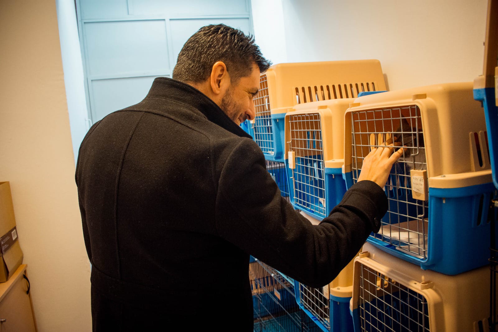 EL CENTRO DE ZOONOSIS MUNICIPAL SUPER&Oacute; LAS 1000 CASTRACIONES REALIZADAS