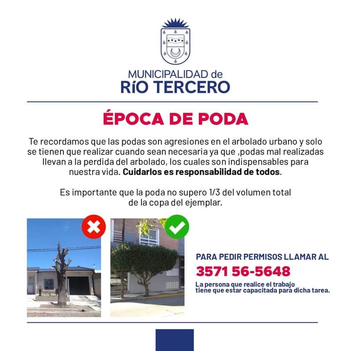 LA MUNICIPALIDAD RECUERDA QUE EN &Eacute;POCA DE PODA DEBES SACAR PERMISO