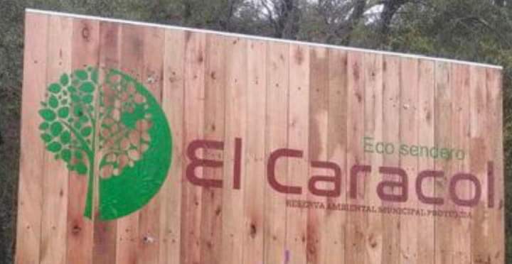 PREOCUPACI&Oacute;N POR LA TALA DE &Aacute;RBOL ES EN EL BALNEARIO Y LA RESERVA CARACOL